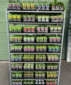 Stauder Mix