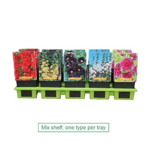 Alcea Rosea Mix (Stokkrose)